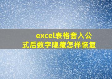 excel表格套入公式后数字隐藏怎样恢复