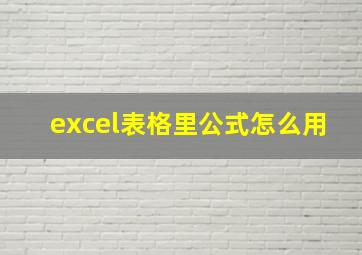 excel表格里公式怎么用