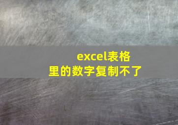 excel表格里的数字复制不了