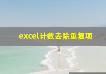 excel计数去除重复项