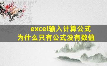 excel输入计算公式为什么只有公式没有数值