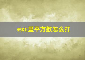 exc里平方数怎么打