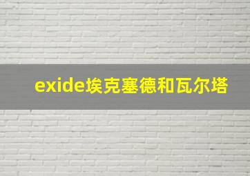 exide埃克塞德和瓦尔塔