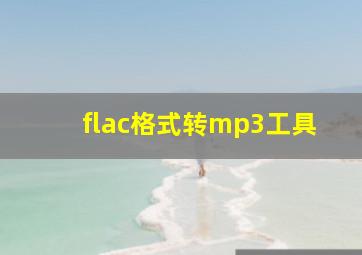 flac格式转mp3工具