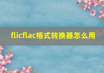 flicflac格式转换器怎么用