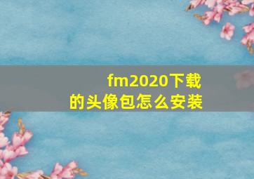 fm2020下载的头像包怎么安装