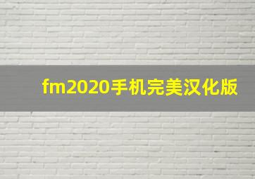 fm2020手机完美汉化版