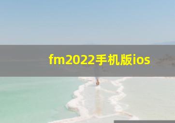 fm2022手机版ios