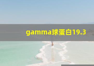 gamma球蛋白19.3