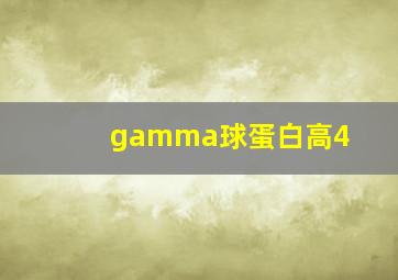 gamma球蛋白高4