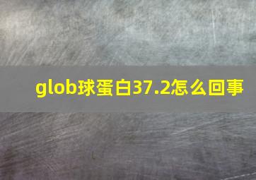 glob球蛋白37.2怎么回事