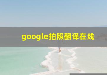 google拍照翻译在线