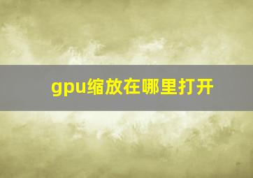 gpu缩放在哪里打开