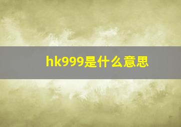 hk999是什么意思