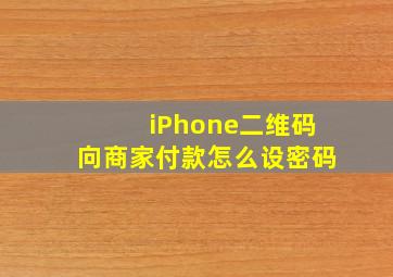 iPhone二维码向商家付款怎么设密码