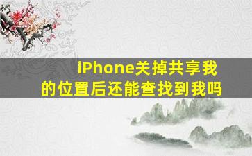 iPhone关掉共享我的位置后还能查找到我吗