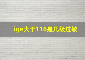 ige大于116是几级过敏