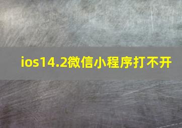 ios14.2微信小程序打不开