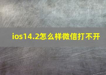 ios14.2怎么样微信打不开