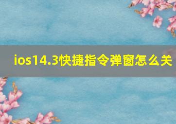 ios14.3快捷指令弹窗怎么关