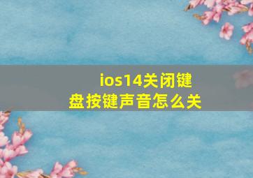 ios14关闭键盘按键声音怎么关