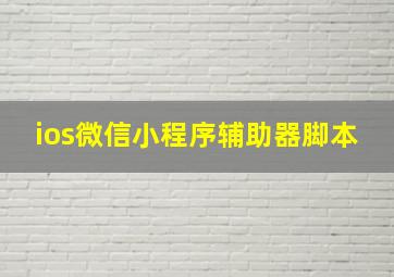 ios微信小程序辅助器脚本