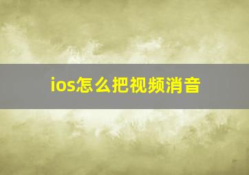 ios怎么把视频消音