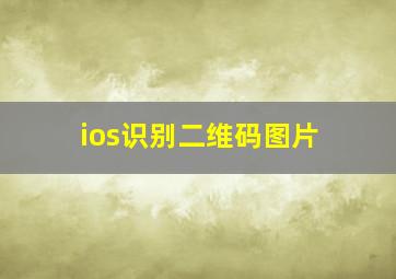 ios识别二维码图片