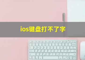 ios键盘打不了字