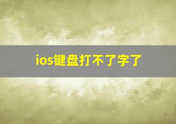 ios键盘打不了字了