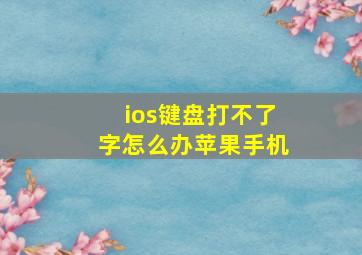 ios键盘打不了字怎么办苹果手机