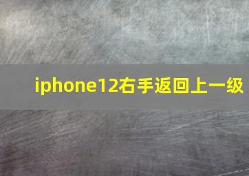 iphone12右手返回上一级