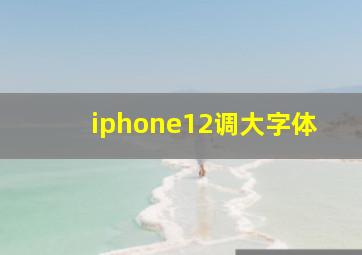 iphone12调大字体