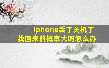 iphone丢了关机了找回来的概率大吗怎么办