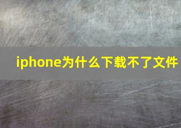 iphone为什么下载不了文件