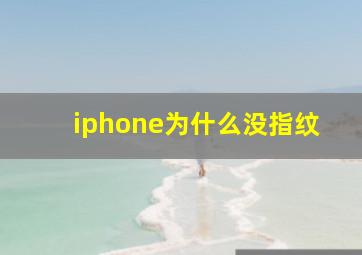 iphone为什么没指纹