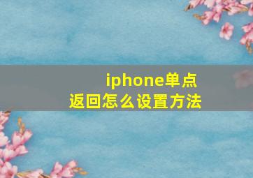 iphone单点返回怎么设置方法