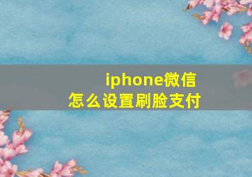 iphone微信怎么设置刷脸支付