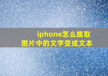 iphone怎么提取图片中的文字变成文本