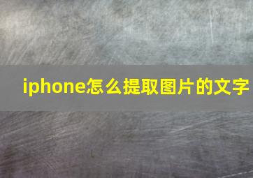 iphone怎么提取图片的文字