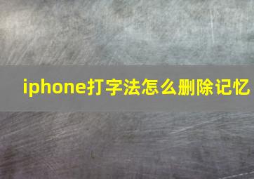 iphone打字法怎么删除记忆