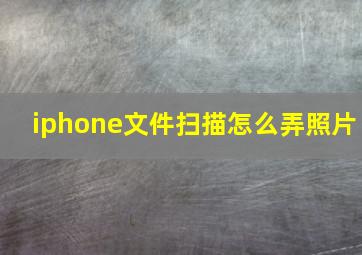 iphone文件扫描怎么弄照片