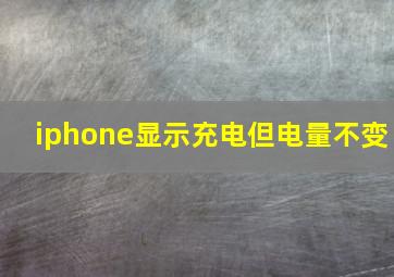 iphone显示充电但电量不变