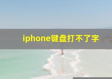 iphone键盘打不了字