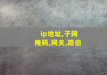 ip地址,子网掩码,网关,路由