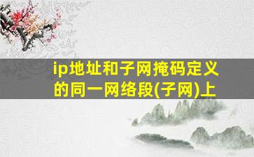 ip地址和子网掩码定义的同一网络段(子网)上