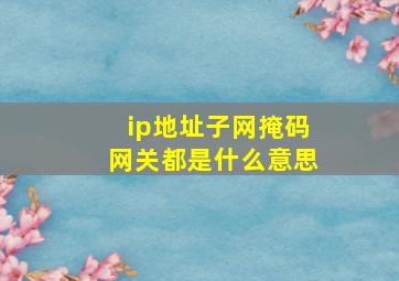 ip地址子网掩码网关都是什么意思