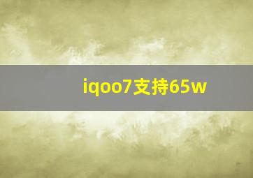 iqoo7支持65w