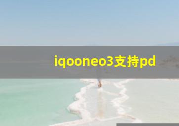 iqooneo3支持pd