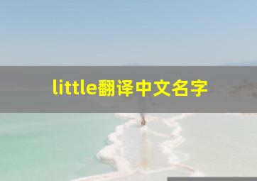 little翻译中文名字